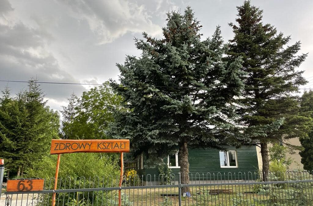 A unique, free workshop on the DRAGON DREAMIN method