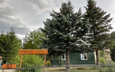 A unique, free workshop on the DRAGON DREAMIN method